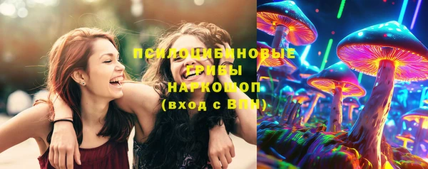 Альфа ПВП Аркадак