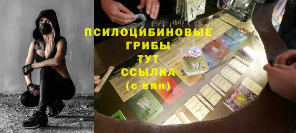 Альфа ПВП Аркадак