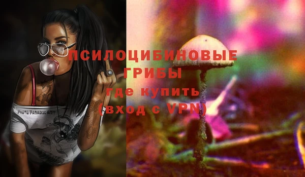 прущая мука Арсеньев