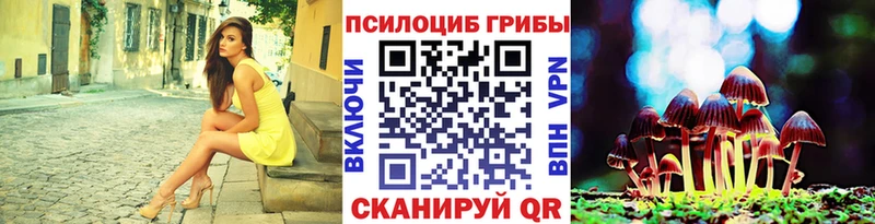 Псилоцибиновые грибы Magic Shrooms  Покровск 
